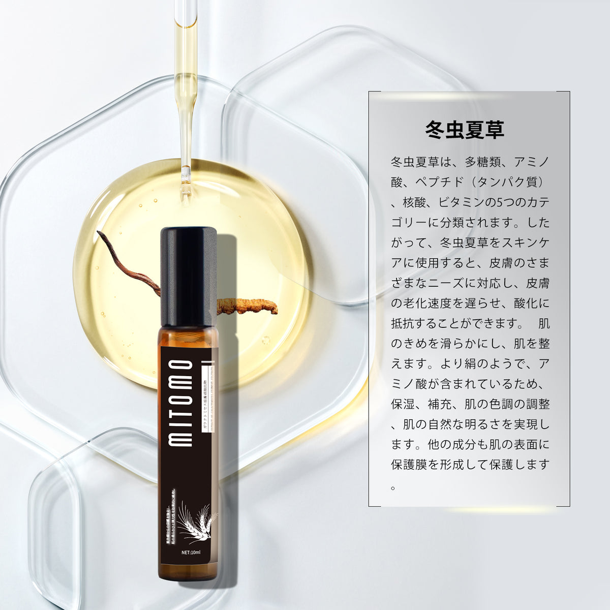 3_bcdc490b-7bbc-4444-b2c0-