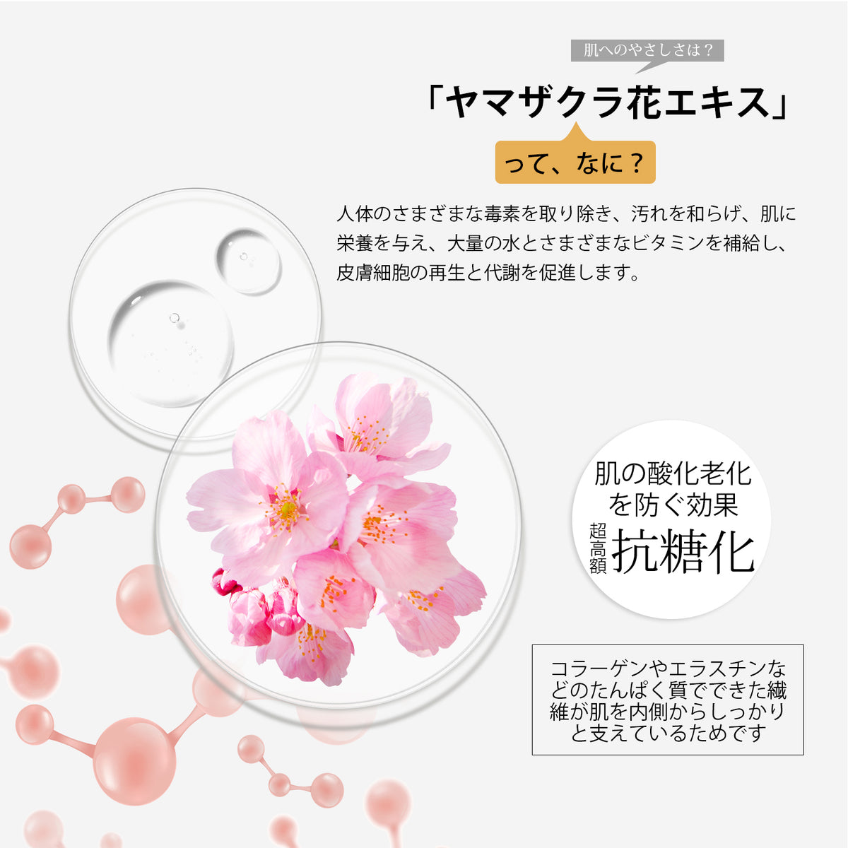 日本製 桜スキンケア 潤い 保湿 セラム エイジングケア 美容液 桜