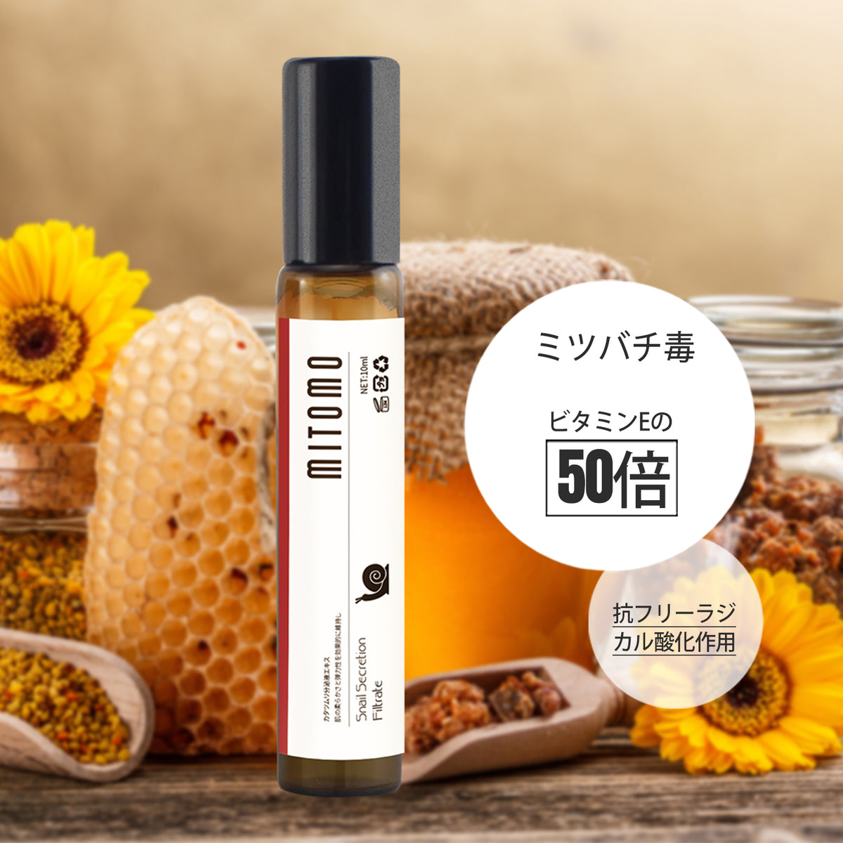 1_24d13f30-4ef5-4a95-840c-