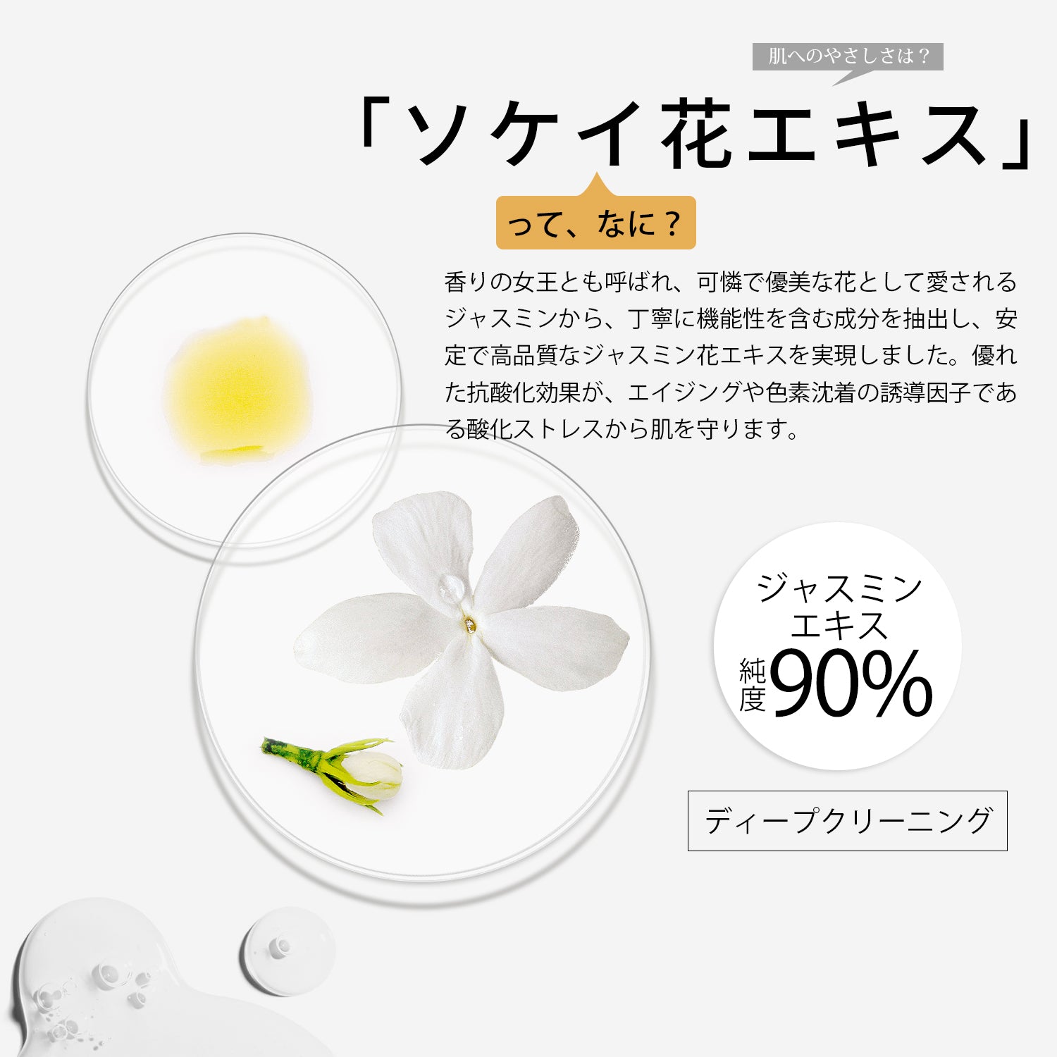 2_e2db2a6a-8c8b-4a0f-bacc-