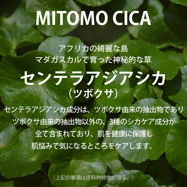 MITOMO <日本製>クリスマス＆年末年始限定セット/先行予約販売中！【P707000127】