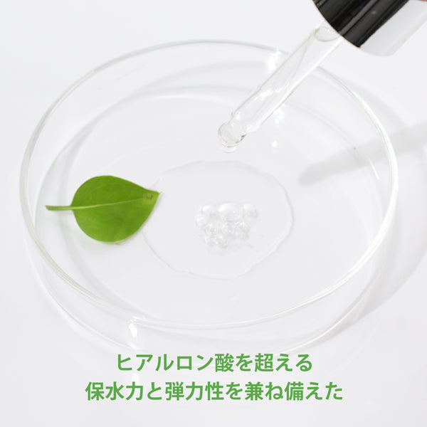 Mitomoドクダミ リーズ スキンケア7点セット- 自然の恵みで肌をしっかりケア！【DMSET-12】