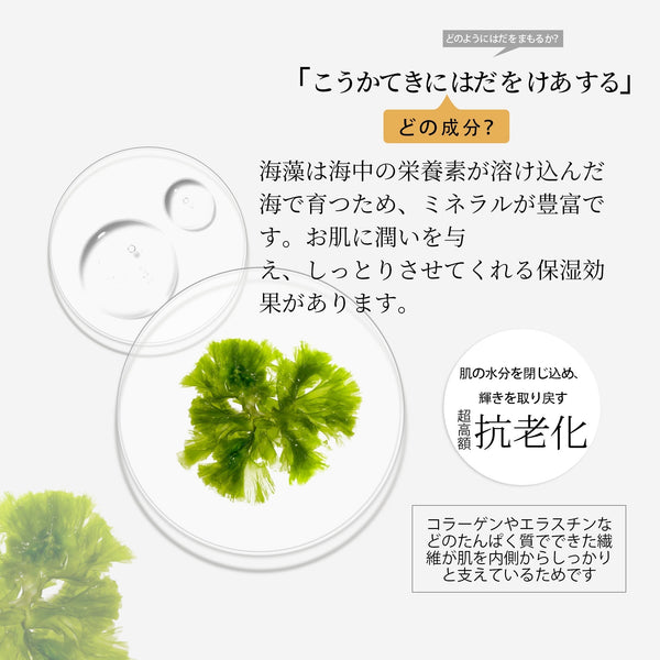 MITOMO 天然海藻浄化フェイシャルエッセンスマスク- 豊かな海藻の栄養で肌をリフレッシュ/ミトモパック/【MTSS00512-C-5Jx002】