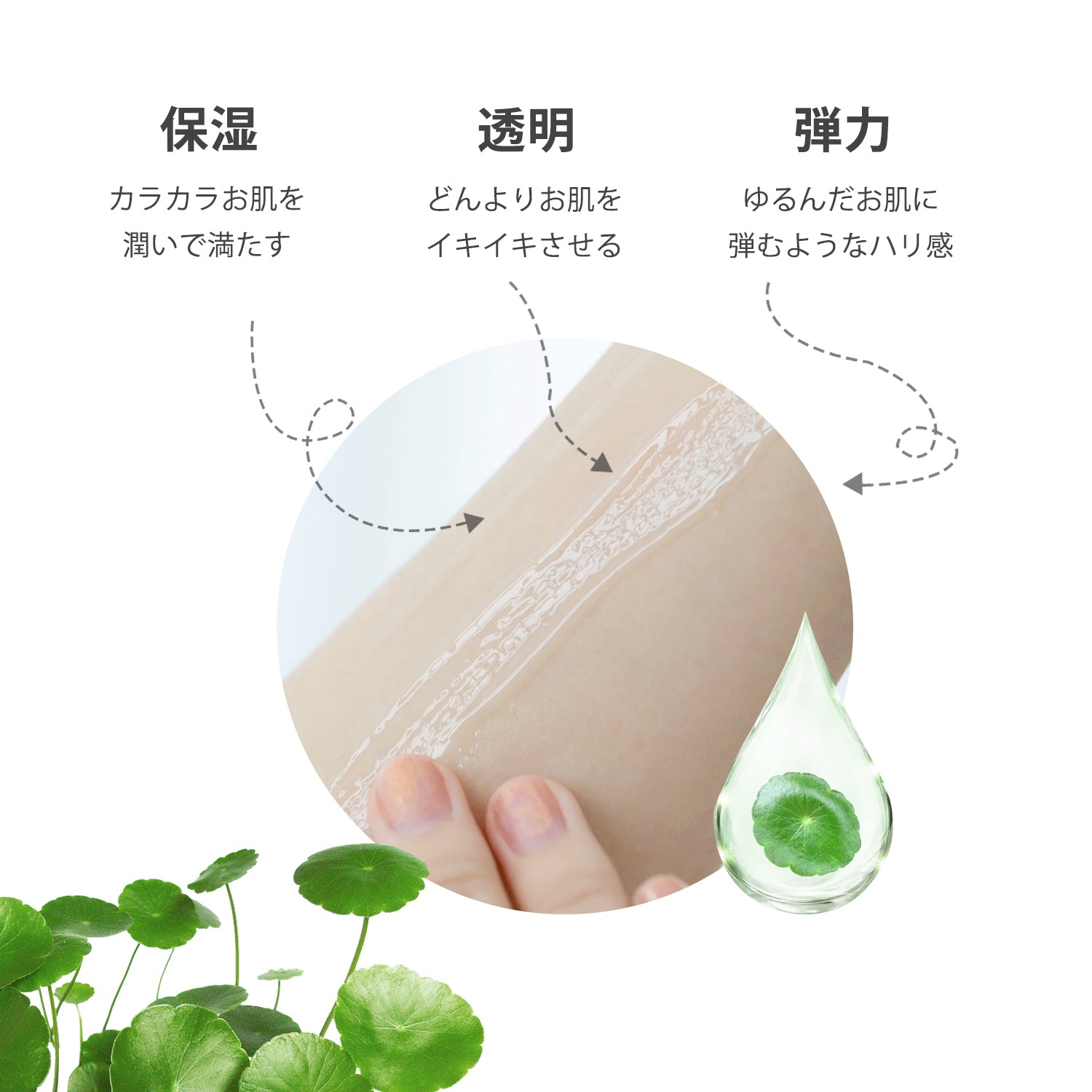 Vita レチノール シカ 美容液- 肌再生と鎮静効果！ハリと弾力を与える美容液 日本製＞Vita レチノール シカ 美容液- 肌再生と鎮静効果！ハリ