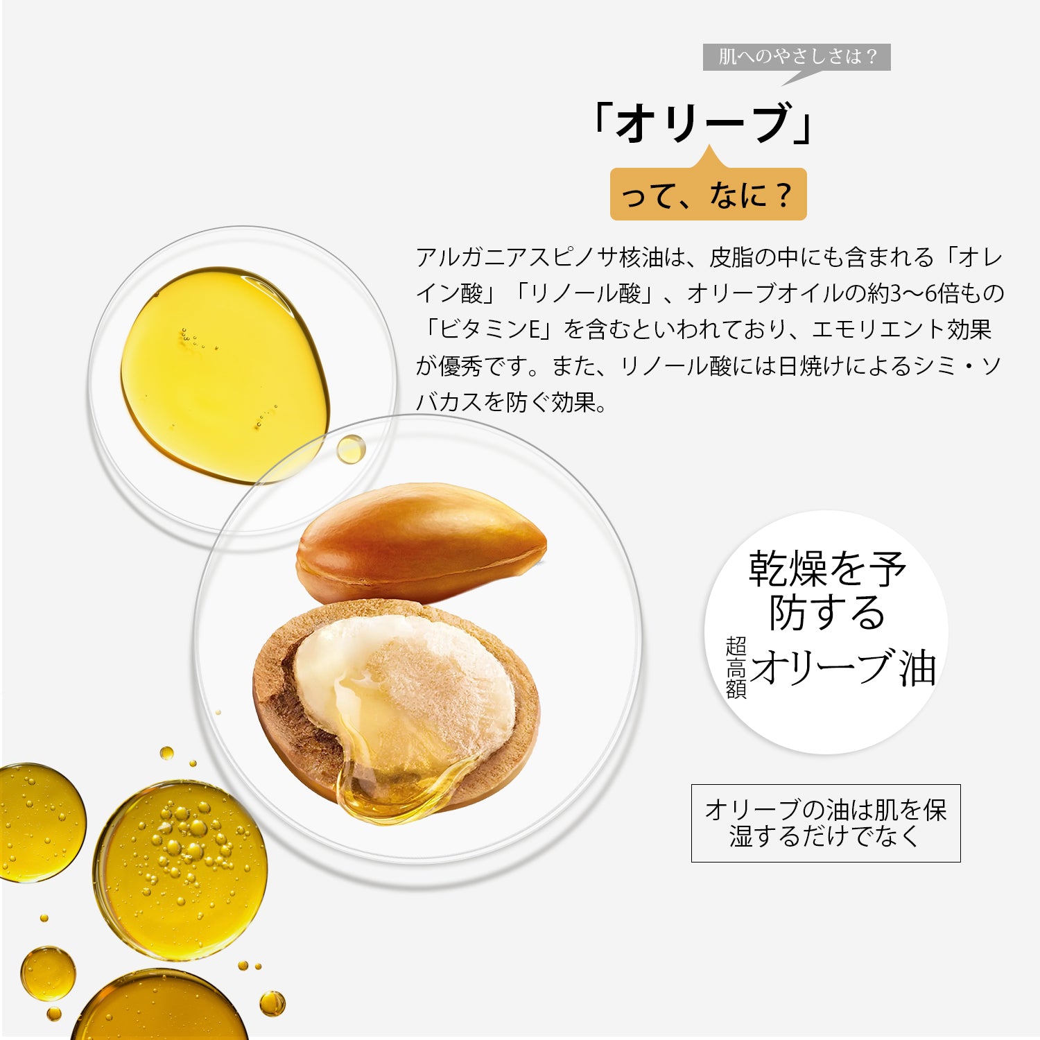 EXSA00001-25-010-2_2048x.jpg?v