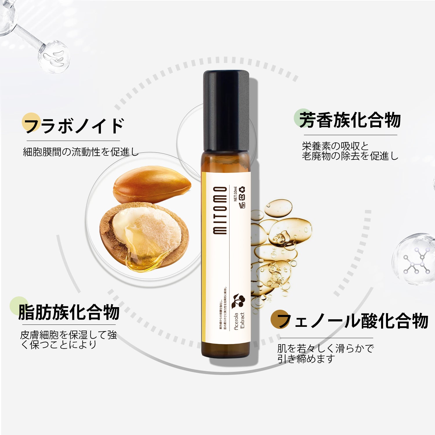 日本製 アルガニアスピノサ核油 スキンケア 潤い 保湿 セラム 美容液