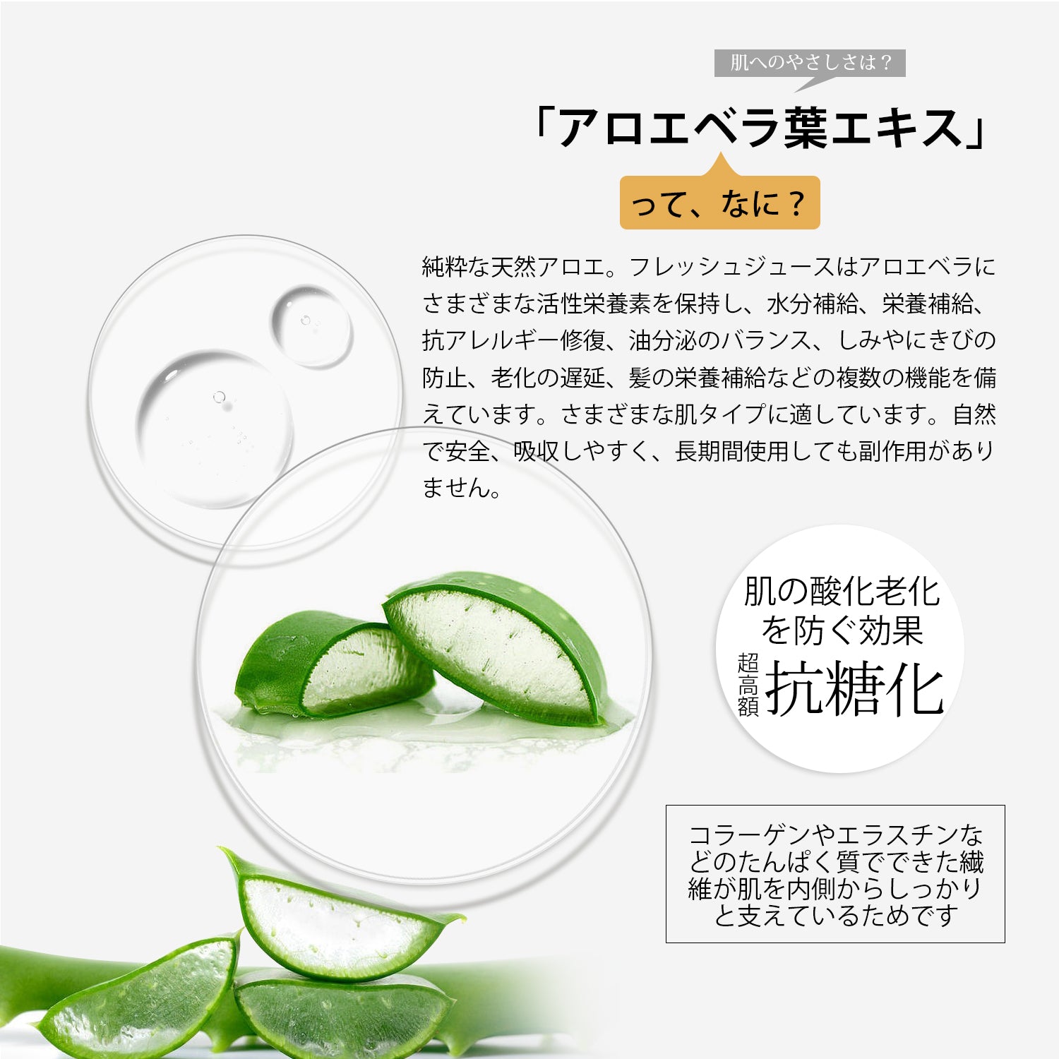 日本製 アロエベラジェルパウダー スキンケア 潤い 保湿 アロエ セラム