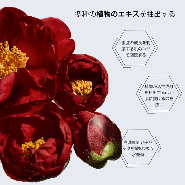 MITOMO 日本製ツバキ花エキススキンケア 潤い 保湿 フアンペアボトル10mlエキス【EXSA00002-05-010】